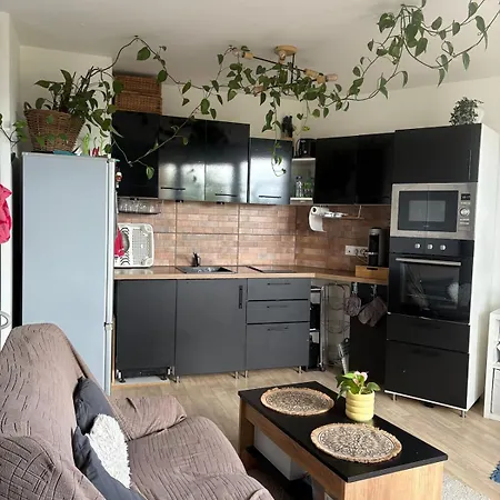 Appartement Cozy F2 Proche Paris Et Cdg Le Blanc-Mesnil